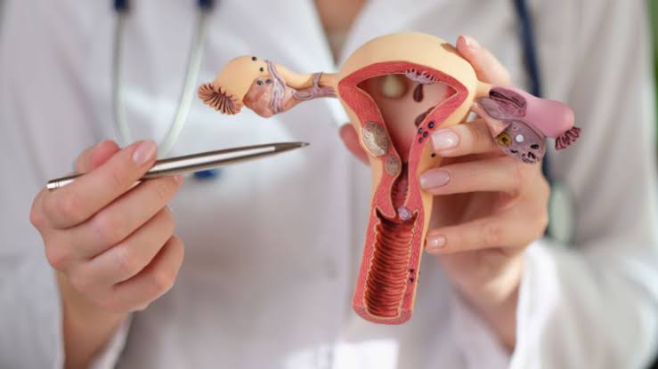 Pelvic floor tension mapping